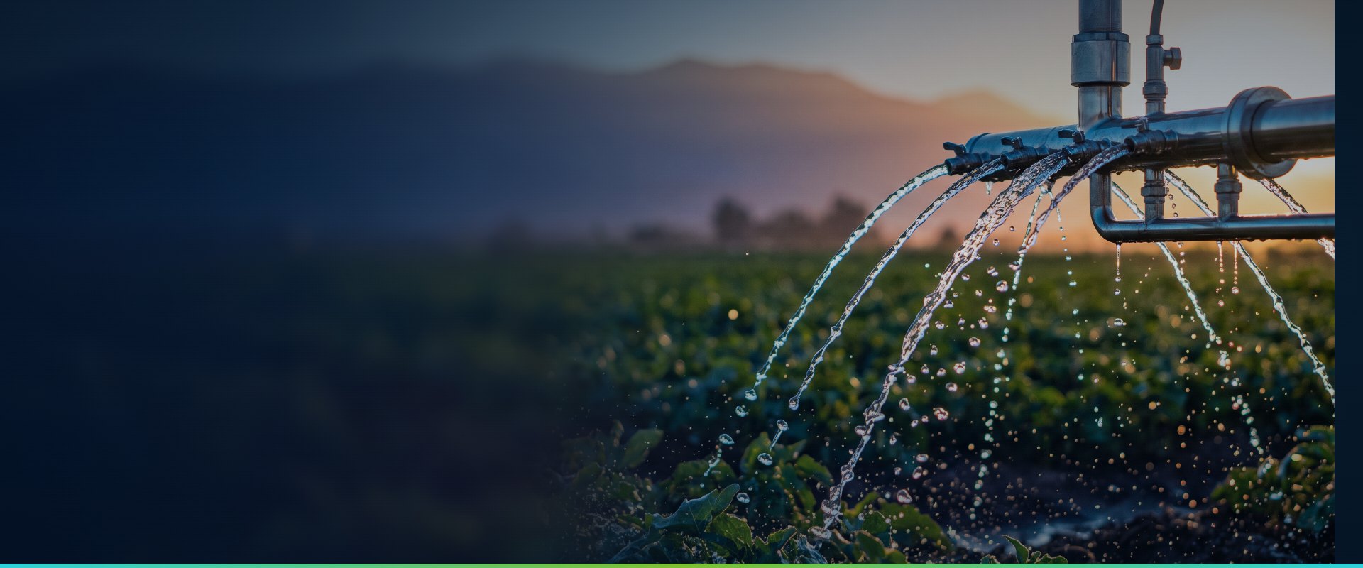 Sistema de riego eficiente con agua limpia al atardecer